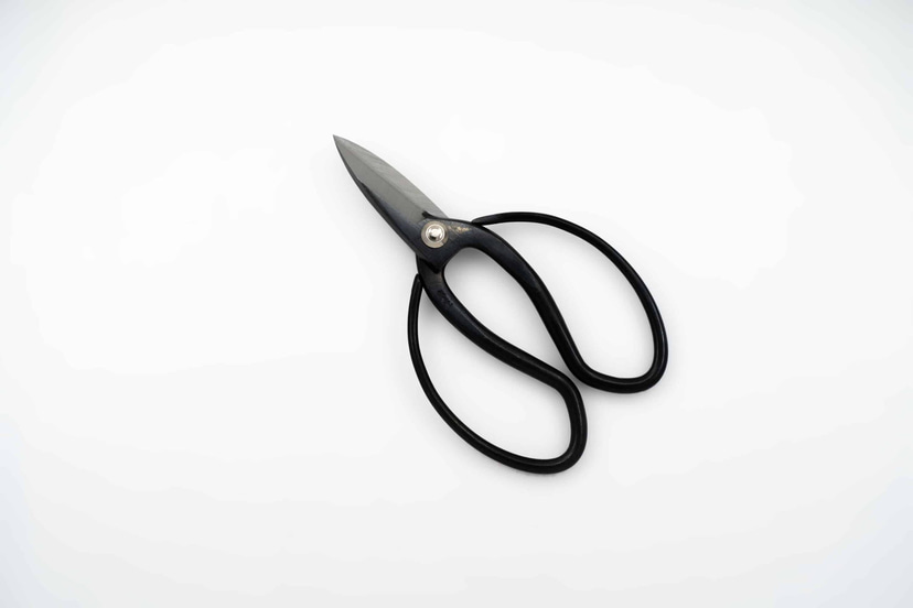 Bonsai Shear | 180mm