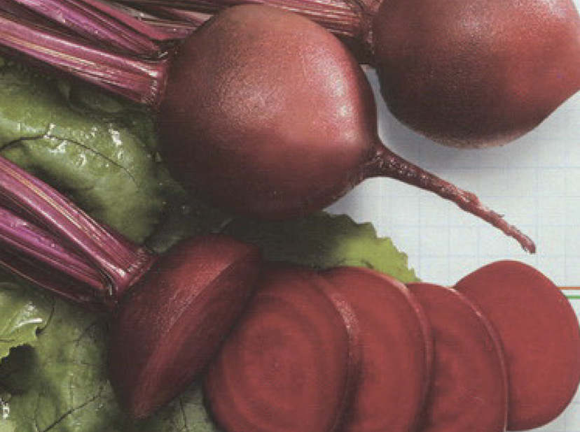 mono-red-f1-monogerm-beet-seed