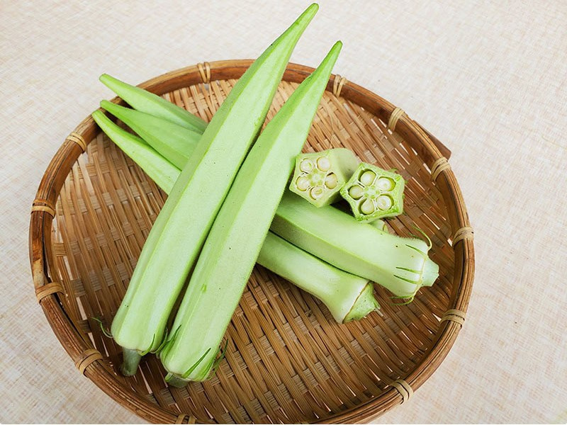 STAR_PRINC_Okra