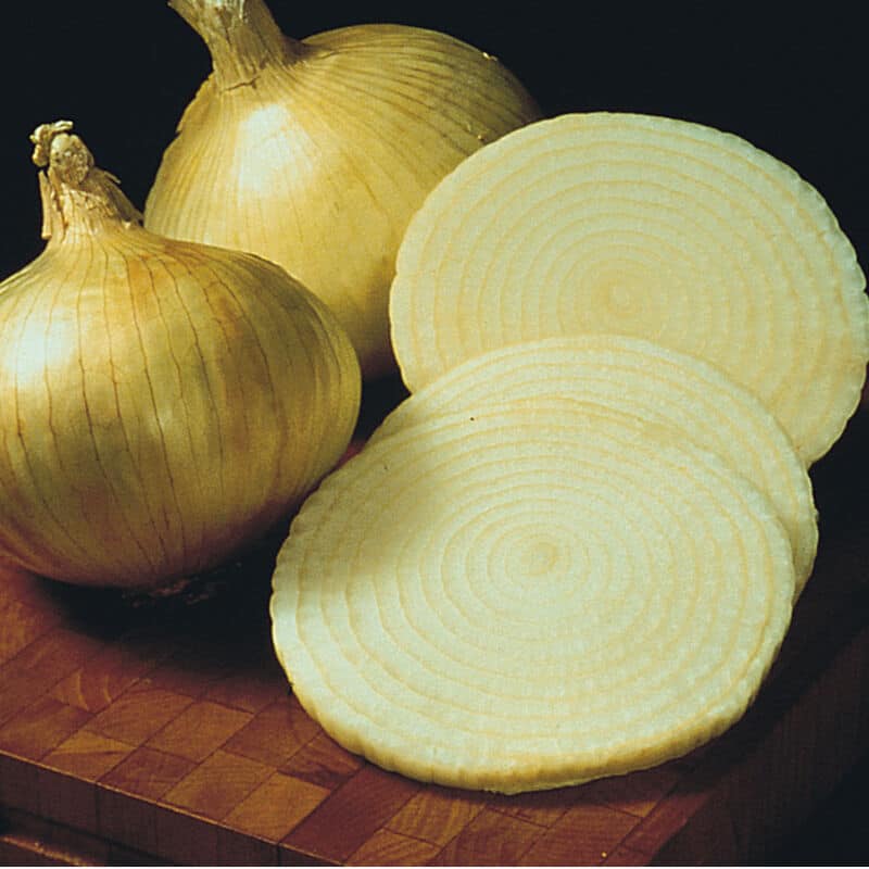 Yellow Granex