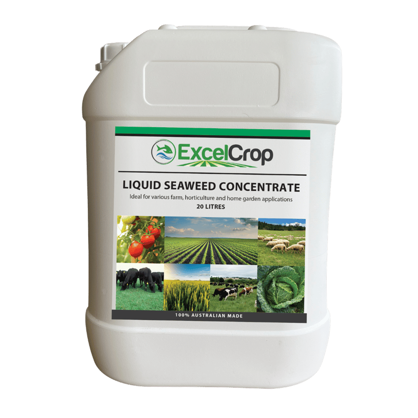 ExcelCrop Liquid Seaweed concentrated organic kelp fertiliser