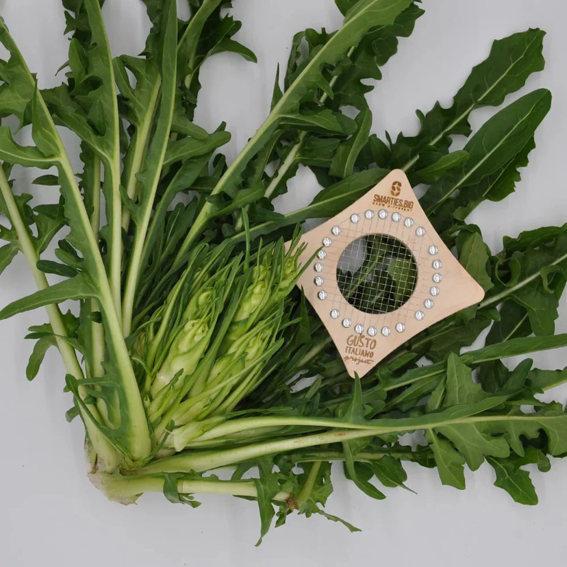 puntarelle slicer