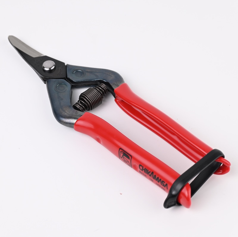 Chikamasa short curve Snip